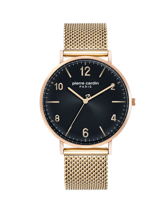Часы Pierre Cardin Gents PC902651F16